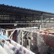 Aslanlar – Silopi Halı Yıkama